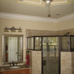 master bathroom, custom shower, trey ceiling